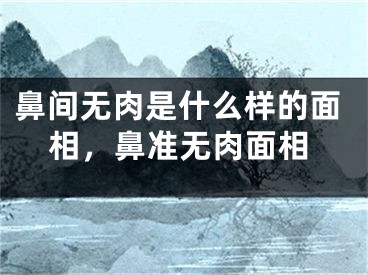 鼻间无肉是什么样的面相，鼻准无肉面相
