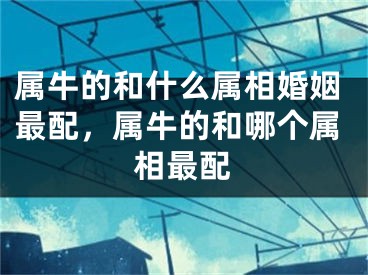 属牛的和什么属相婚姻最配，属牛的和哪个属相最配