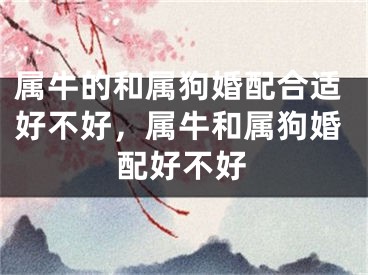 属牛的和属狗婚配合适好不好，属牛和属狗婚配好不好