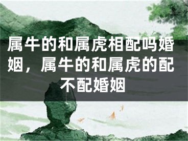 属牛的和属虎相配吗婚姻，属牛的和属虎的配不配婚姻