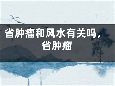 省肿瘤和风水有关吗，省肿瘤