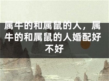 属牛的和属鼠的人，属牛的和属鼠的人婚配好不好