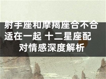 射手座和摩羯座合不合适在一起 十二星座配对情感深度解析