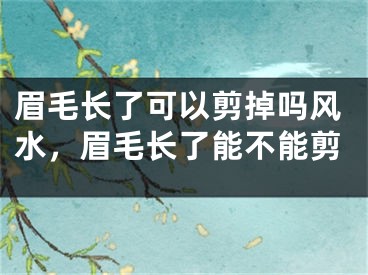 眉毛长了可以剪掉吗风水，眉毛长了能不能剪