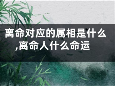 离命对应的属相是什么,离命人什么命运