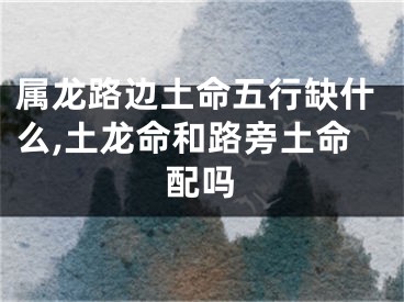 属龙路边土命五行缺什么,土龙命和路旁土命配吗