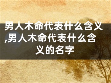 男人木命代表什么含义,男人木命代表什么含义的名字