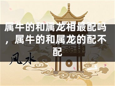 属牛的和属龙相最配吗，属牛的和属龙的配不配