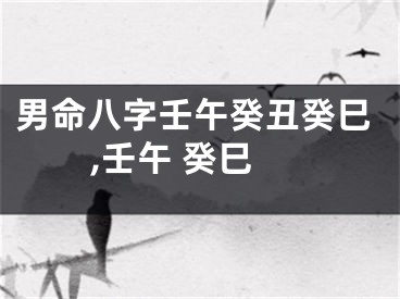 男命八字壬午癸丑癸巳,壬午 癸巳
