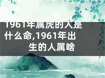 1961年属虎的人是什么命,1961年出生的人属啥