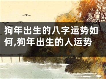 狗年出生的八字运势如何,狗年出生的人运势