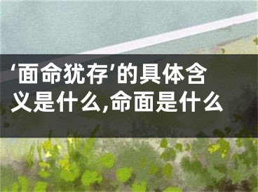 ‘面命犹存’的具体含义是什么,命面是什么