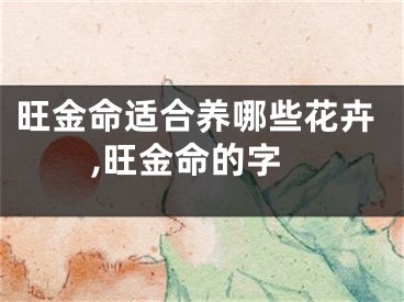 旺金命适合养哪些花卉,旺金命的字