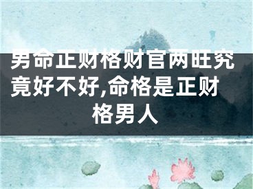 男命正财格财官两旺究竟好不好,命格是正财格男人