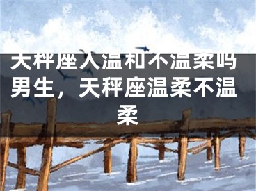 天秤座人温和不温柔吗男生，天秤座温柔不温柔