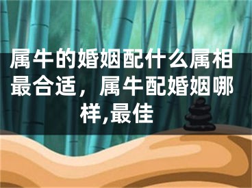属牛的婚姻配什么属相最合适，属牛配婚姻哪样,最佳