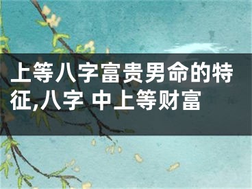 上等八字富贵男命的特征,八字 中上等财富