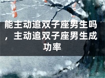 能主动追双子座男生吗，主动追双子座男生成功率