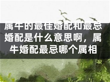 属牛的最佳婚配和最忌婚配是什么意思啊，属牛婚配最忌哪个属相