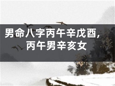 男命八字丙午辛戊酉,丙午男辛亥女