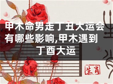 甲木命男走丁丑大运会有哪些影响,甲木遇到丁酉大运