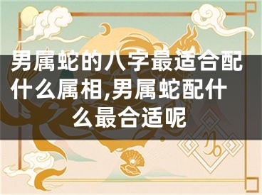 男属蛇的八字最适合配什么属相,男属蛇配什么最合适呢