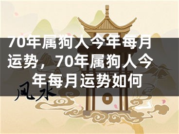 70年属狗人今年每月运势,70年属狗人今年每月运势如何