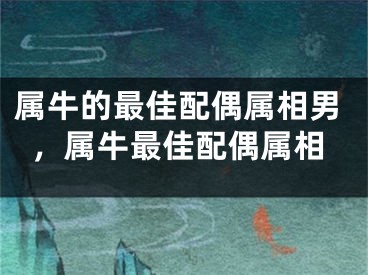 属牛的最佳配偶属相男，属牛最佳配偶属相