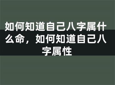 如何知道自己八字属什么命，如何知道自己八字属性