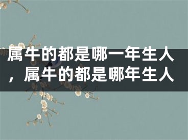 属牛的都是哪一年生人，属牛的都是哪年生人