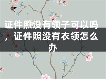 证件照没有领子可以吗，证件照没有衣领怎么办