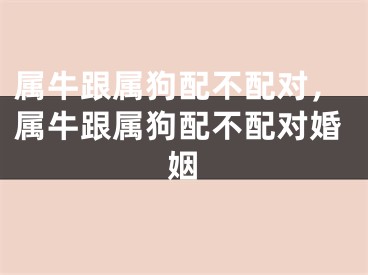 属牛跟属狗配不配对，属牛跟属狗配不配对婚姻