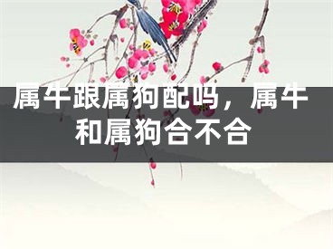 属牛跟属狗配吗，属牛和属狗合不合