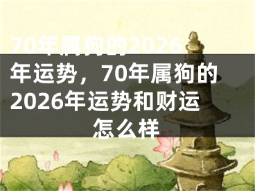 70年属狗的2026年运势，70年属狗的2026年运势和财运怎么样