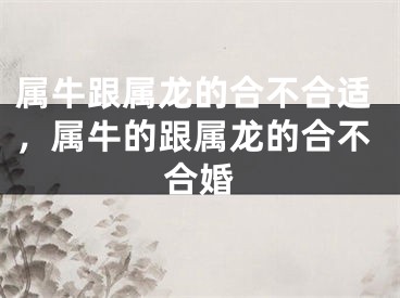 属牛跟属龙的合不合适，属牛的跟属龙的合不合婚