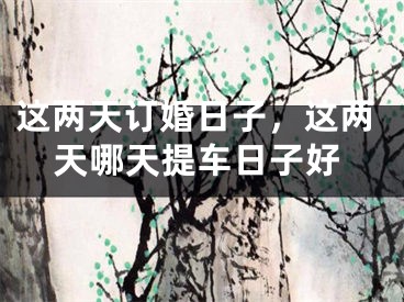 这两天订婚日子，这两天哪天提车日子好