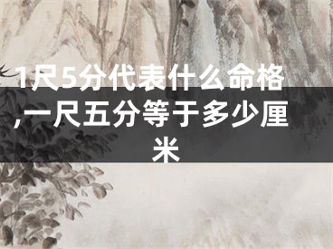 1尺5分代表什么命格,一尺五分等于多少厘米
