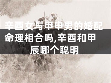 辛酉女与甲申男的婚配命理相合吗,辛酉和甲辰哪个聪明