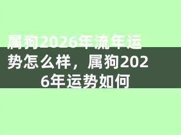 属狗2026年流年运势怎么样，属狗2026年运势如何