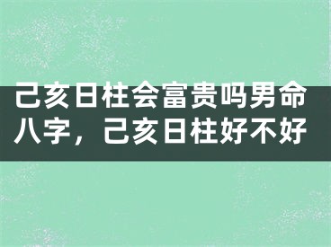 己亥日柱会富贵吗男命八字，己亥日柱好不好