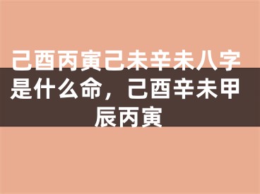 己酉丙寅己未辛未八字是什么命，己酉辛未甲辰丙寅
