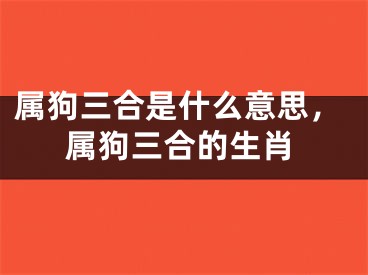 属狗三合是什么意思,属狗三合的生肖