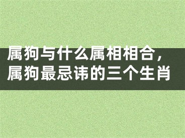 属狗与什么属相相合，属狗最忌讳的三个生肖
