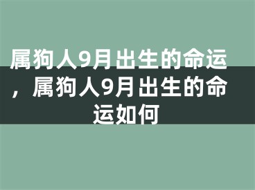 属狗人9月出生的命运，属狗人9月出生的命运如何