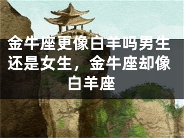 金牛座更像白羊吗男生还是女生，金牛座却像白羊座