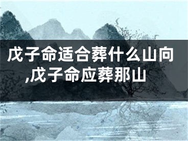 戊子命适合葬什么山向,戊子命应葬那山