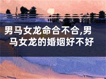 男马女龙命合不合,男马女龙的婚姻好不好