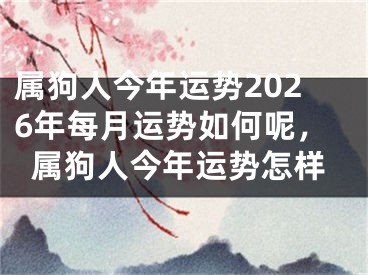 属狗人今年运势2026年每月运势如何呢，属狗人今年运势怎样