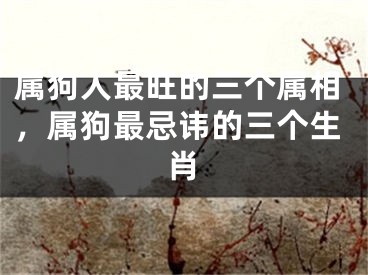 属狗人最旺的三个属相，属狗最忌讳的三个生肖