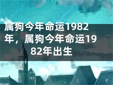 属狗今年命运1982年,属狗今年命运1982年出生
